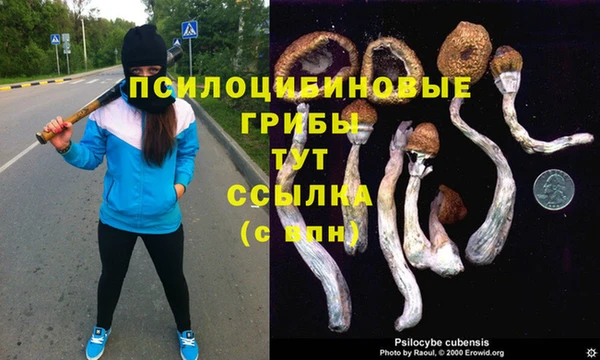 первитин Арсеньев