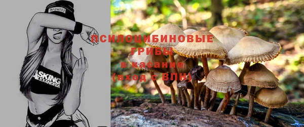 первитин Арсеньев