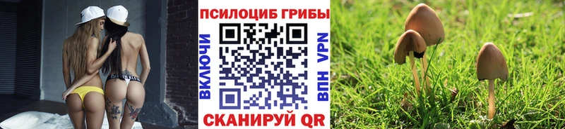 хочу Иннополис Галлюциногенные грибы Cubensis